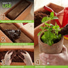 CocoSoil™ - Kokoserde | 1+1 GRATIS!