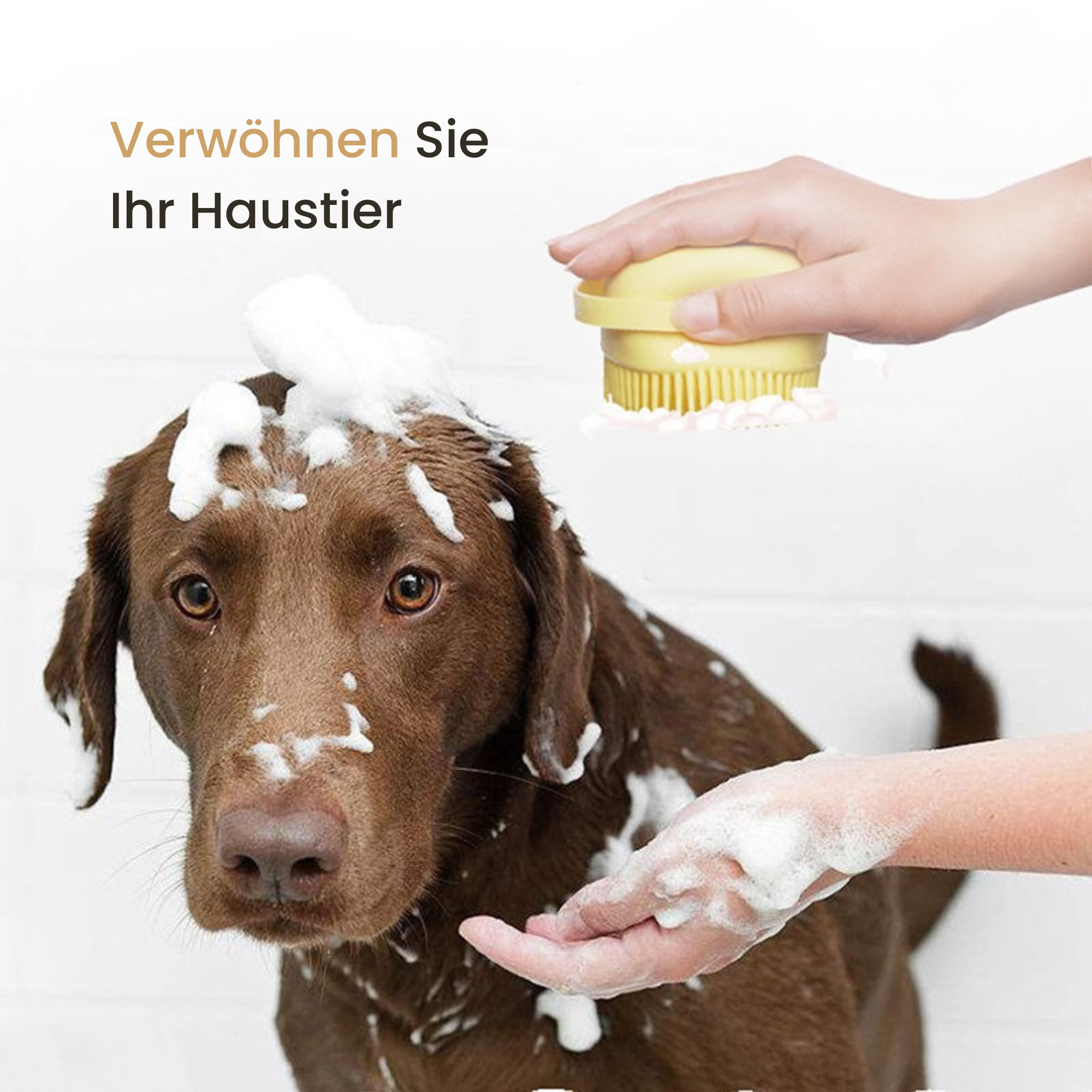 PetClean™ |  Nur heute: 50% Rabatt!