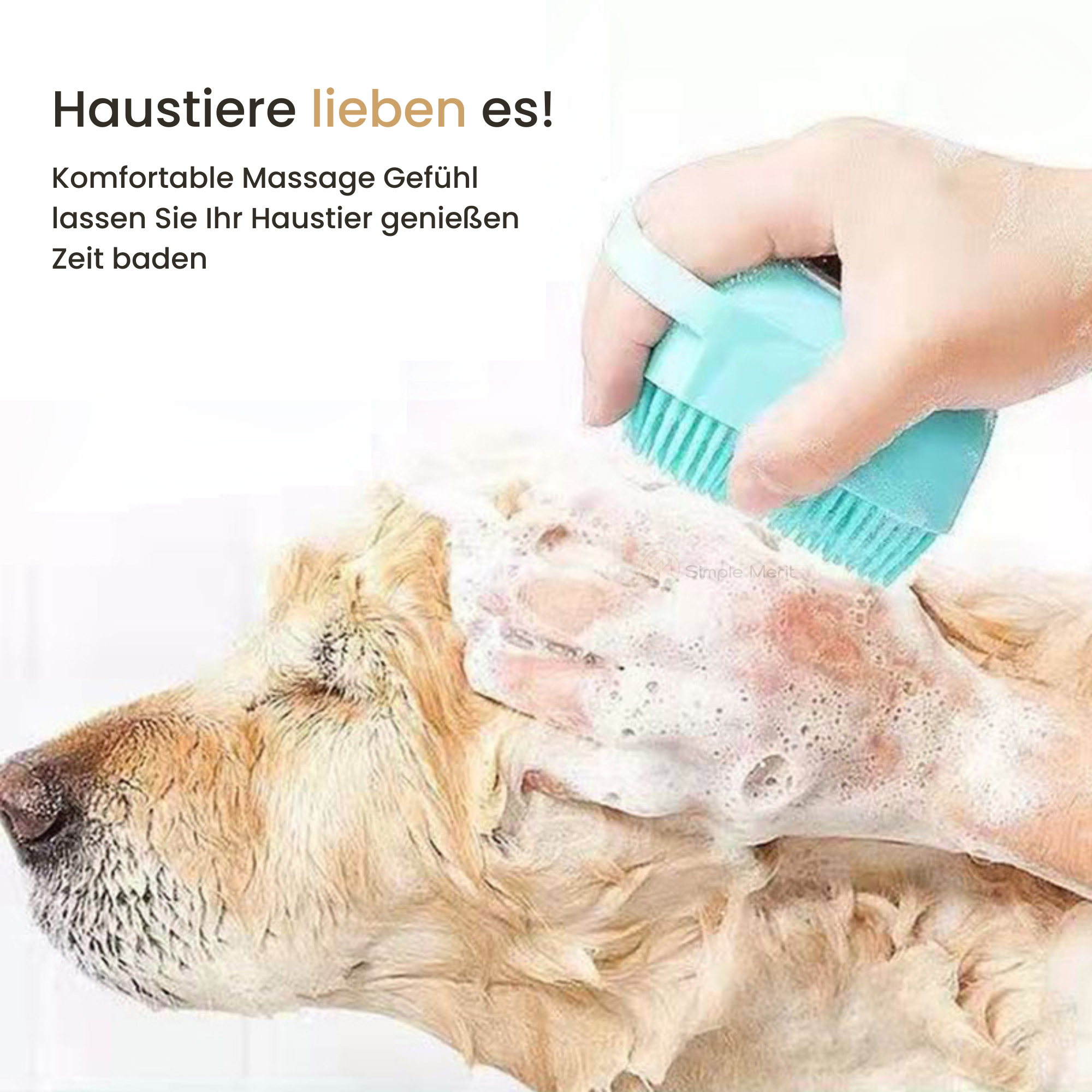 PetClean™ |  Nur heute: 50% Rabatt!