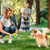 50% Rabatt | TreasureBall™ - Schnüffelspielzeug für Hunde