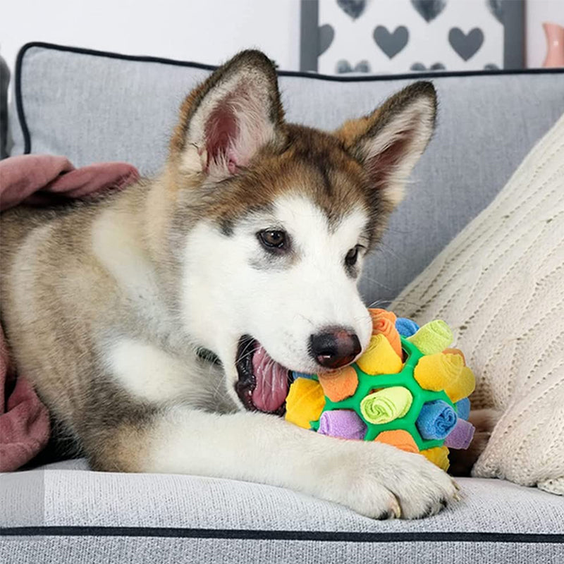 50% Rabatt | TreasureBall™ - Schnüffelspielzeug für Hunde