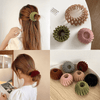 2+2 Gratis | HairBuddy™ Magischer Haargummi Clip