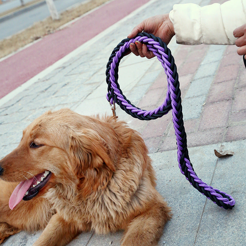 Hundehalsband Leine für größere und stärkere Hunde