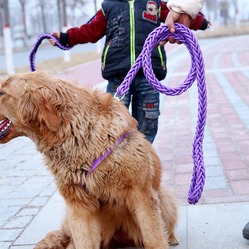 Hundehalsband Leine für größere und stärkere Hunde