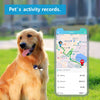 PetTrack™ - Haustier Tracker | 1+1 GRATIS!