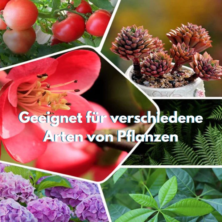 PlantGrow™️ - Umweltfreundliches und beschleunigtes Pflanzenwachstum | 1+1 Gratis