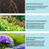 PlantGrow™️ - Umweltfreundliches und beschleunigtes Pflanzenwachstum | 1+1 Gratis