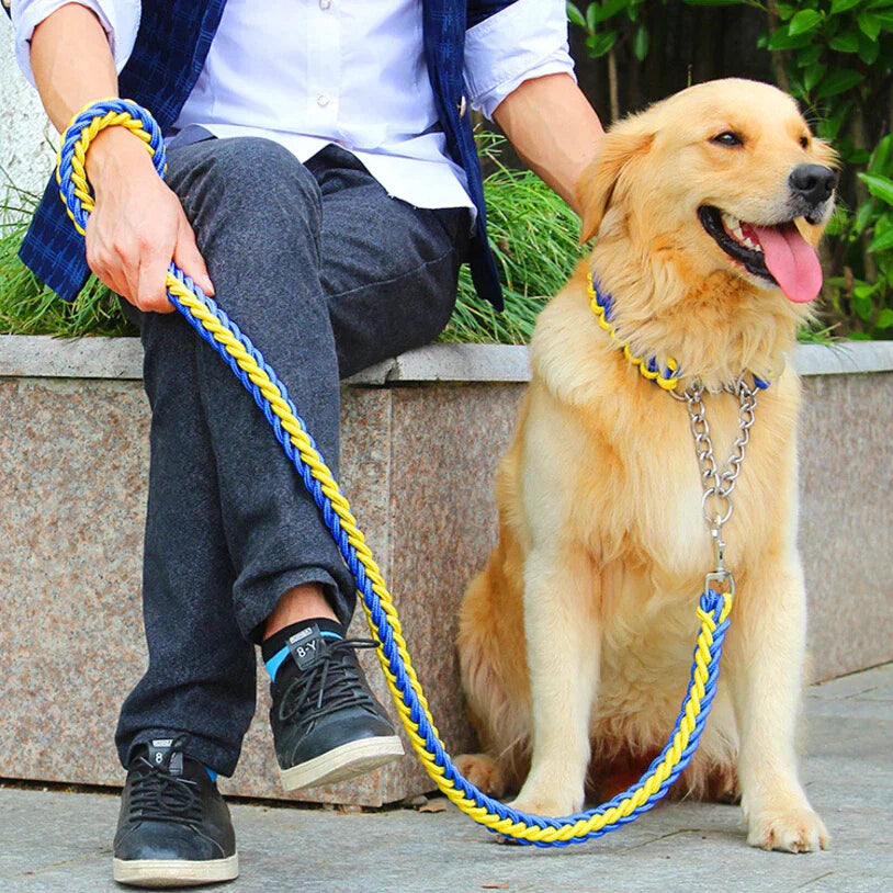 Hundehalsband Leine für größere und stärkere Hunde