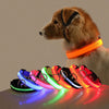 LED aufladbare Hundehalskette